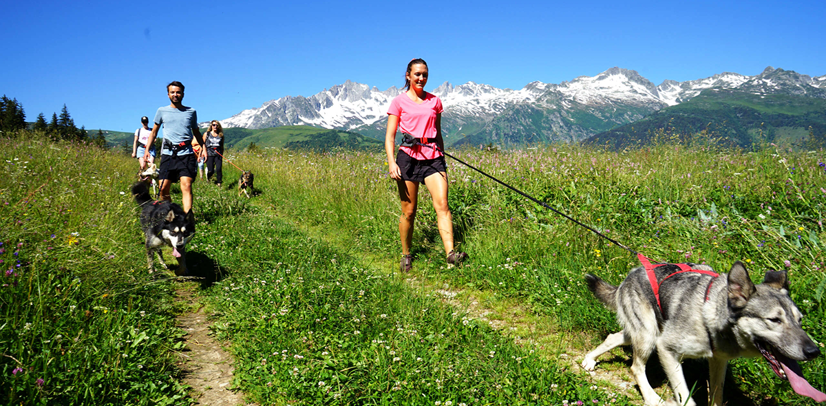 Cani rando cohésion d'équipe