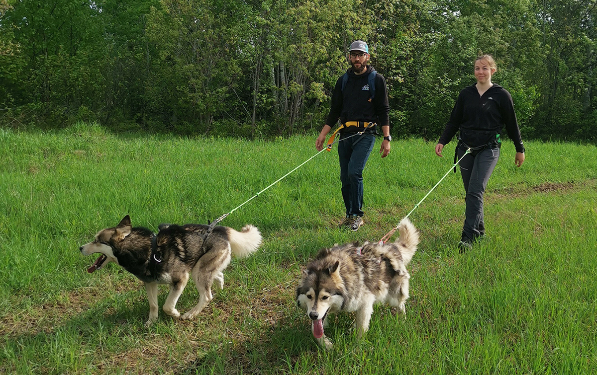Cani-rando cohésion d'équipe