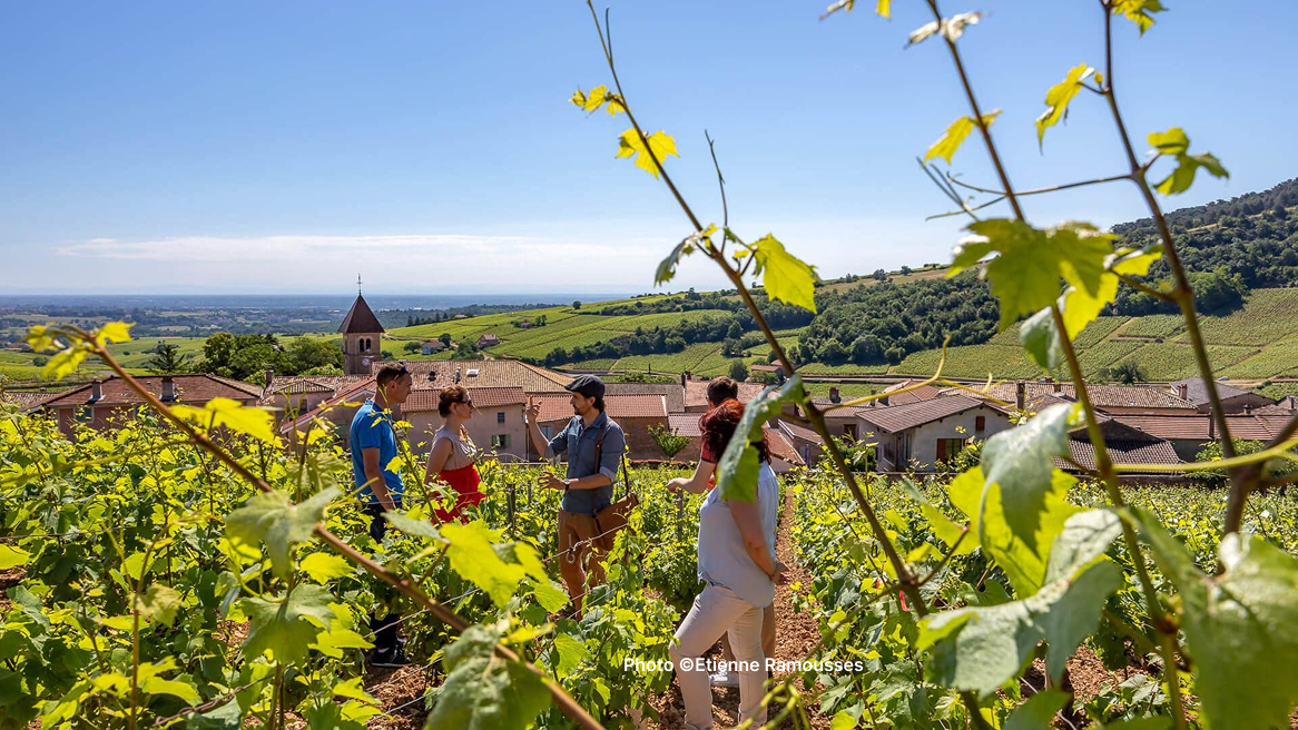 Visite vignoble et dégustation