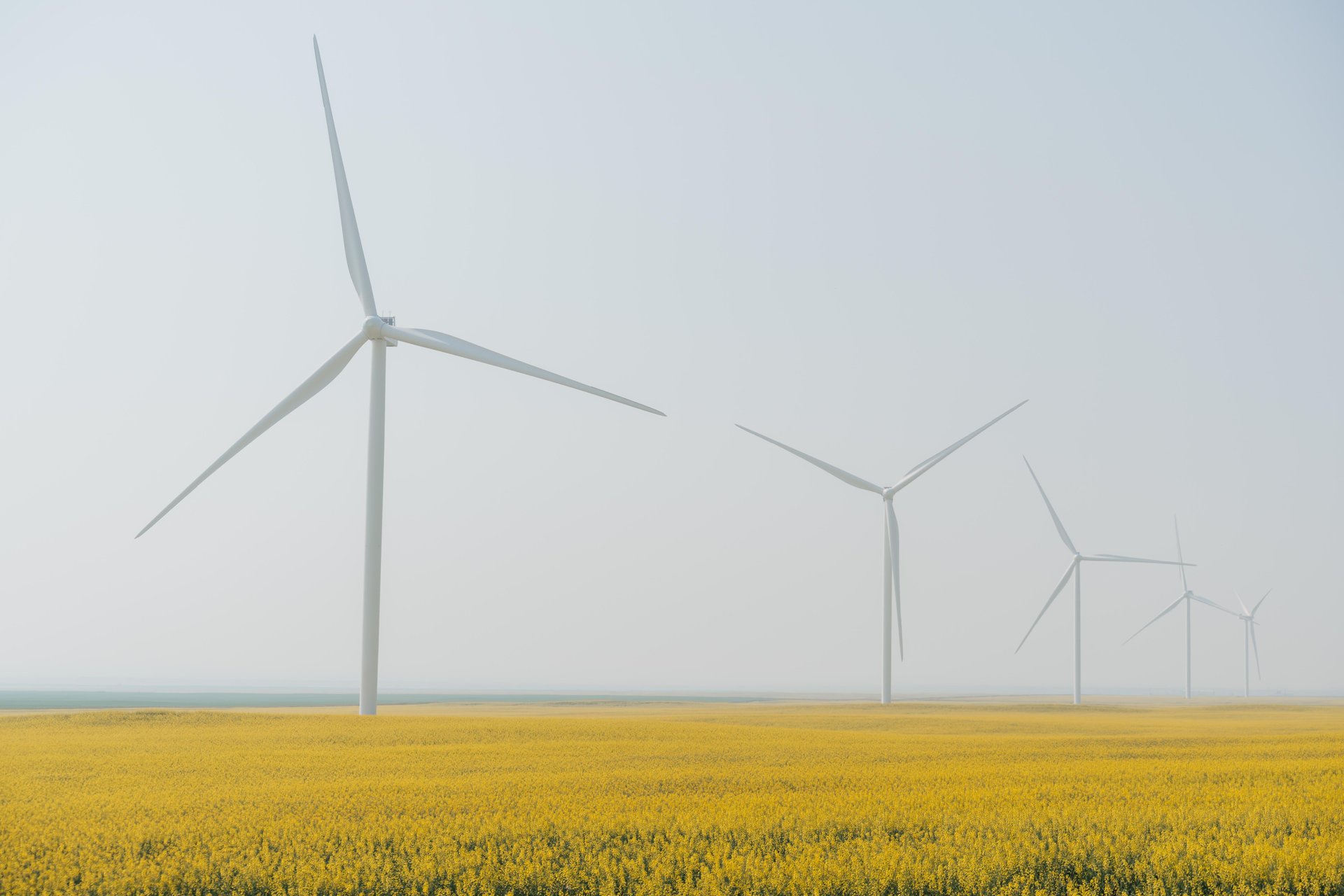 sustainable energy farm in Lethbridge