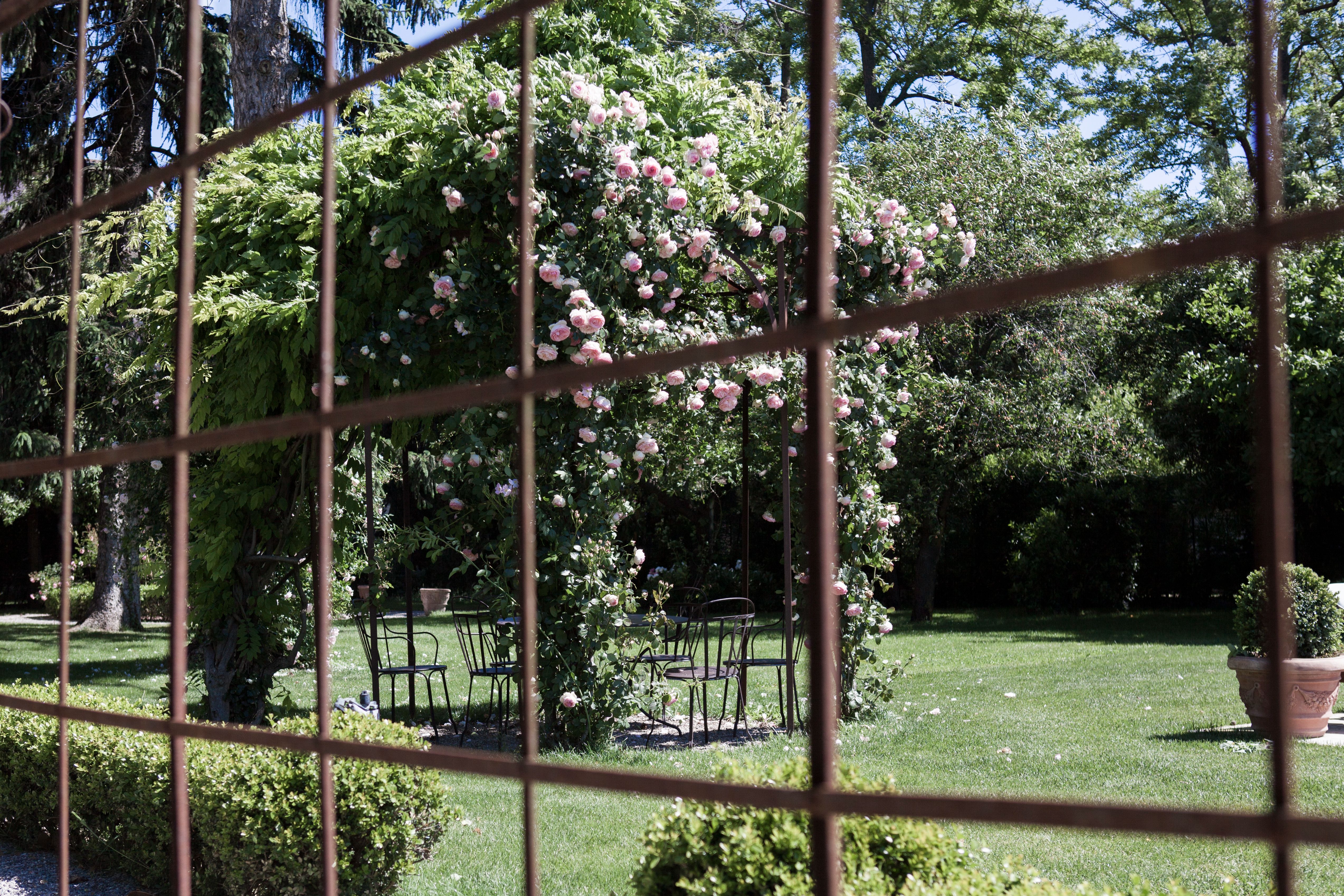View through a rustic iron gate of a rose-covered pergola and vintage bistro chairs in a lush Italian garden, ideal for outdoor dining.