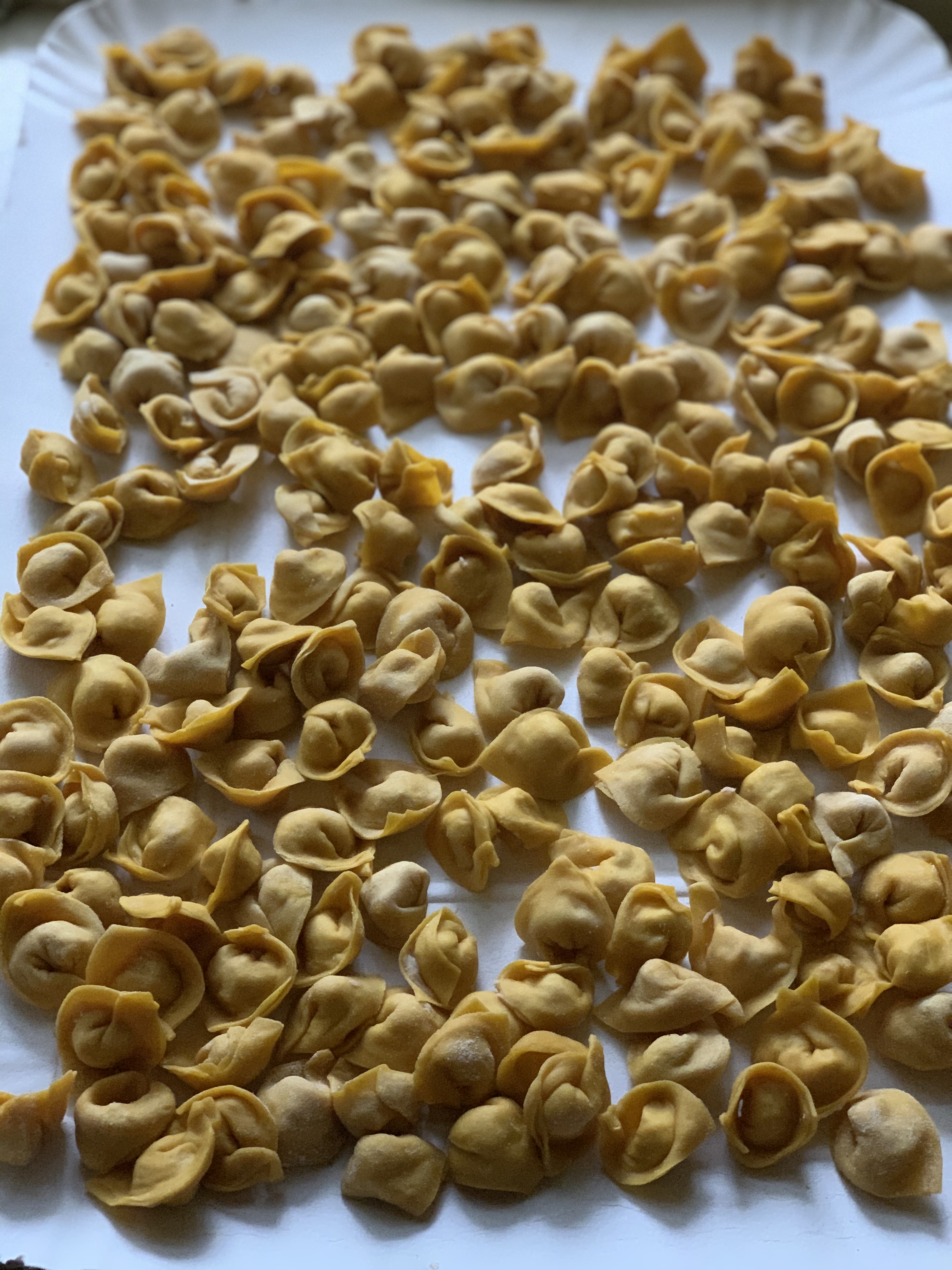 Handmade tortellini pasta resting on a tray before cooking, prepared in an authentic Italian cooking class.