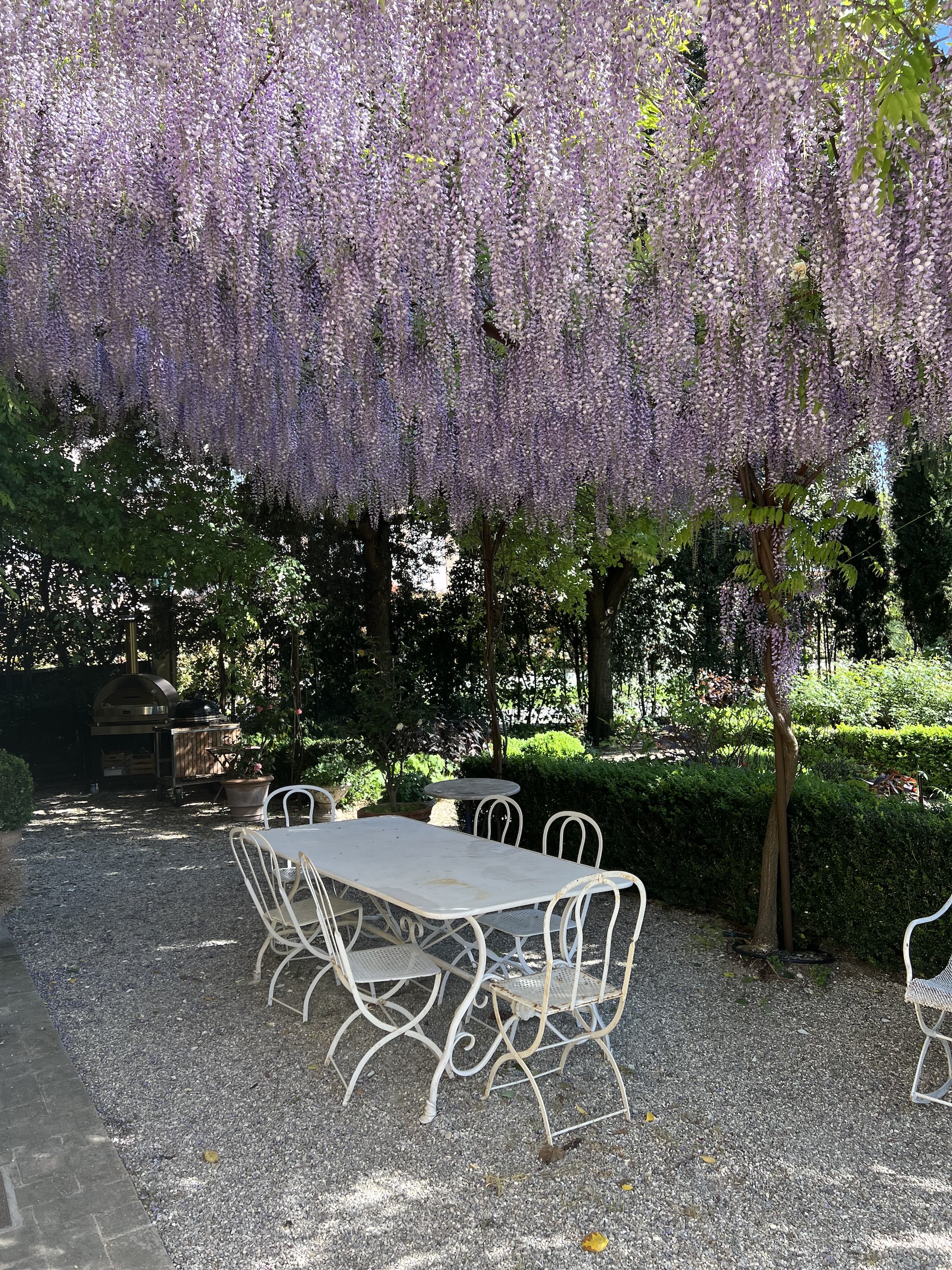 Enchanting outdoor dining area under a canopy of purple wisteria, ideal for a tranquil Italian al fresco meal.
