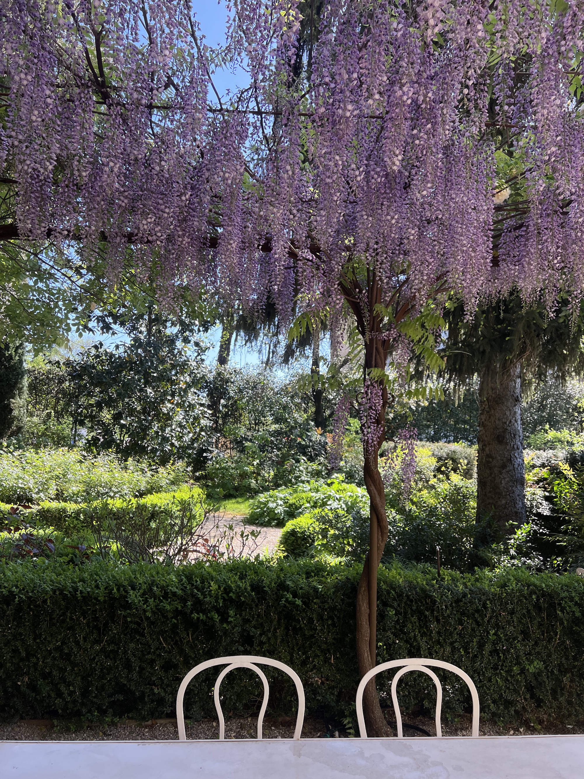 A serene garden view framed by wisteria blossoms and classic white garden chairs, inviting slow living in nature.
