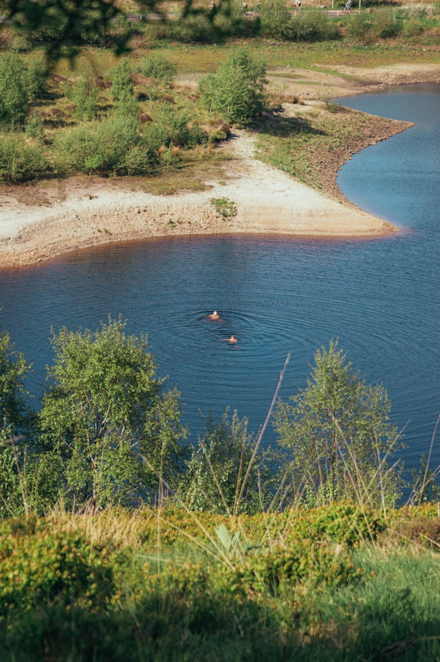 people swimming in a lake