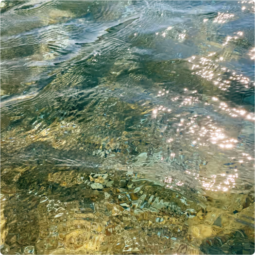 Sunlight reflecting on clear, gently rippling water with visible stones underneath.
