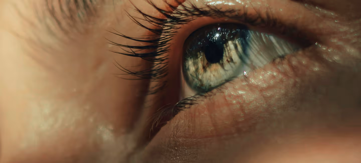 Close-up of a green eye showing detailed iris texture and long eyelashes with reflections in the pupil.