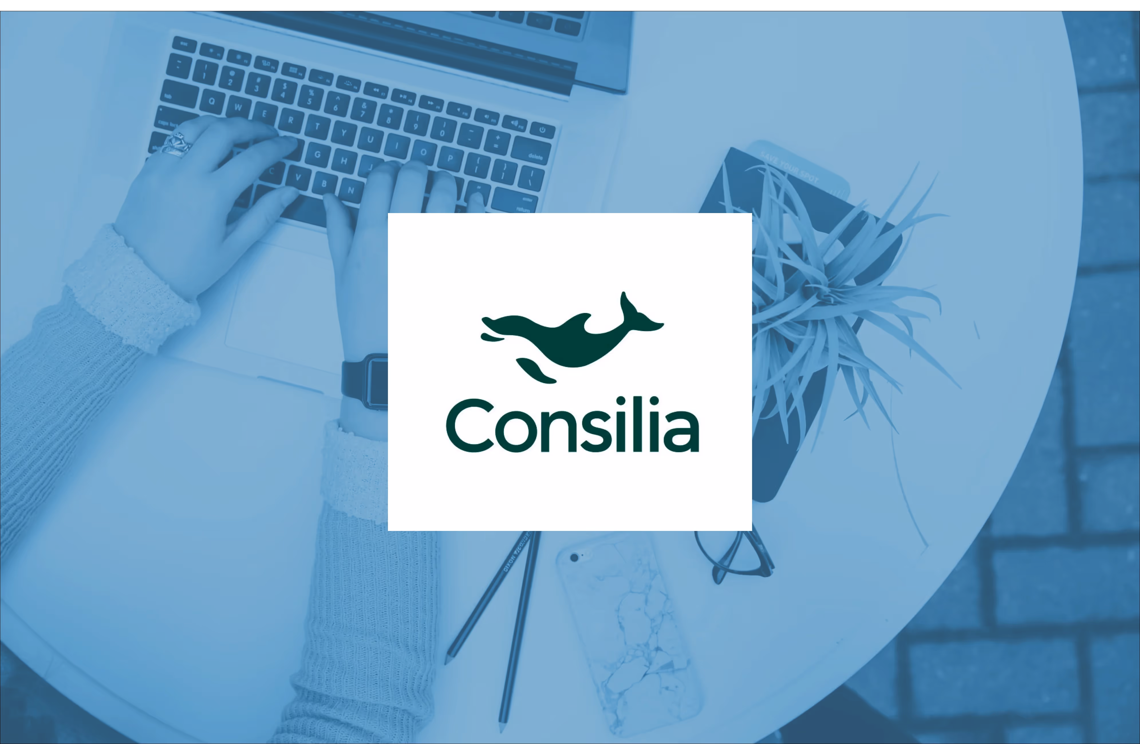 Consilia and Verified enter Strategic Partnership