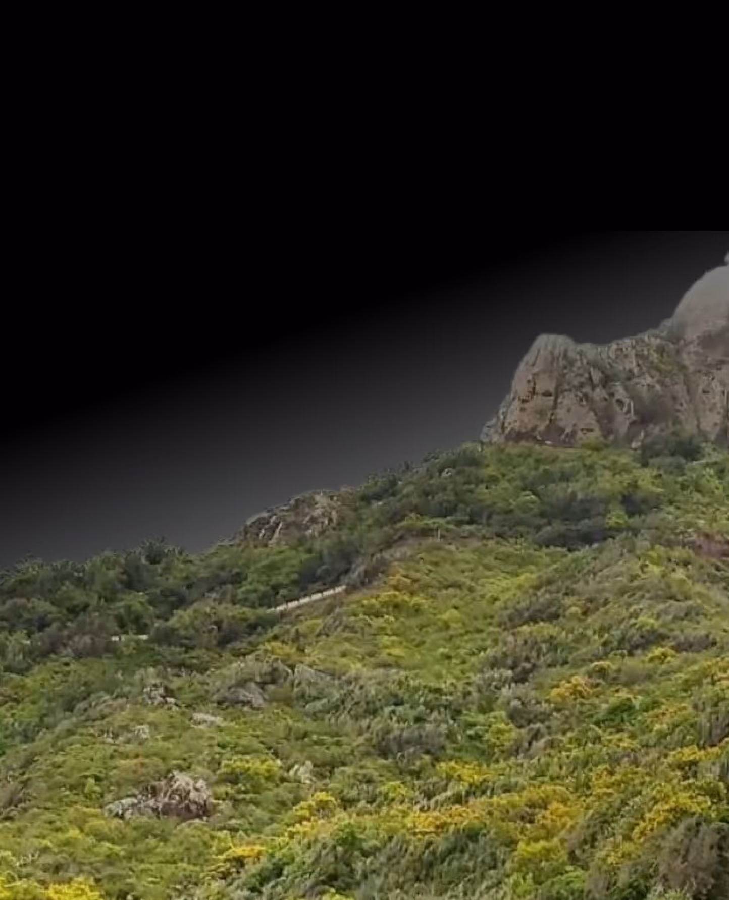 Green hillside with dense vegetation and rocky outcrops against a dark sky.