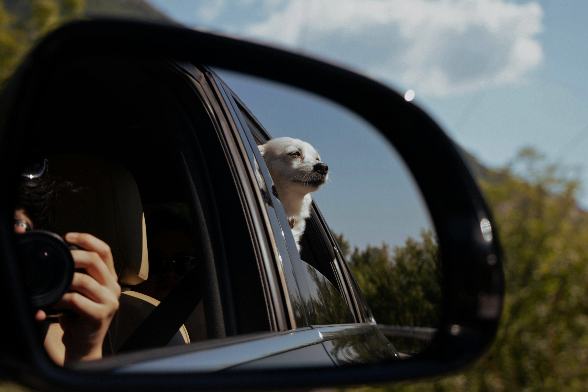 Consumer Auto Image 13