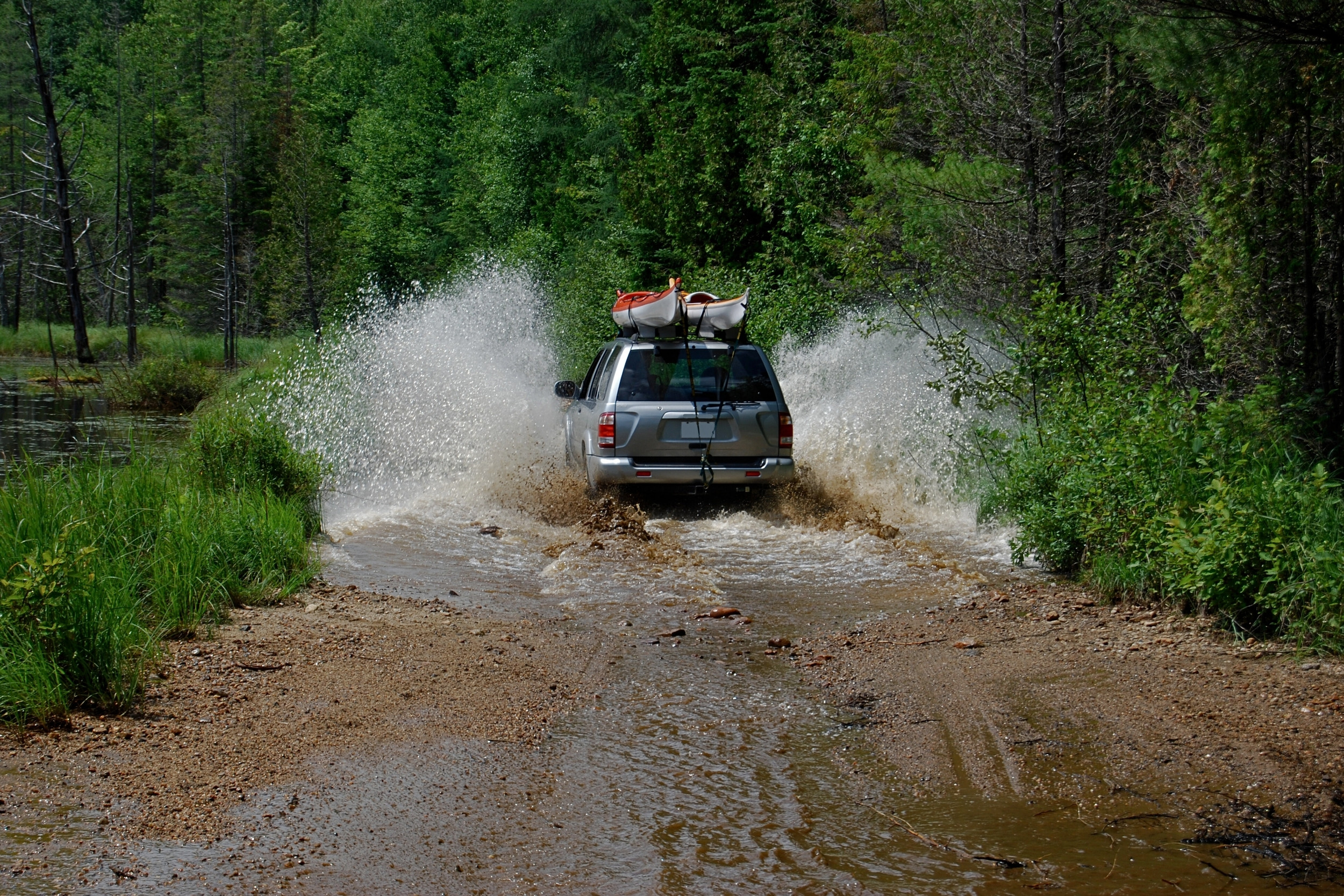 Consumer Auto Image 3