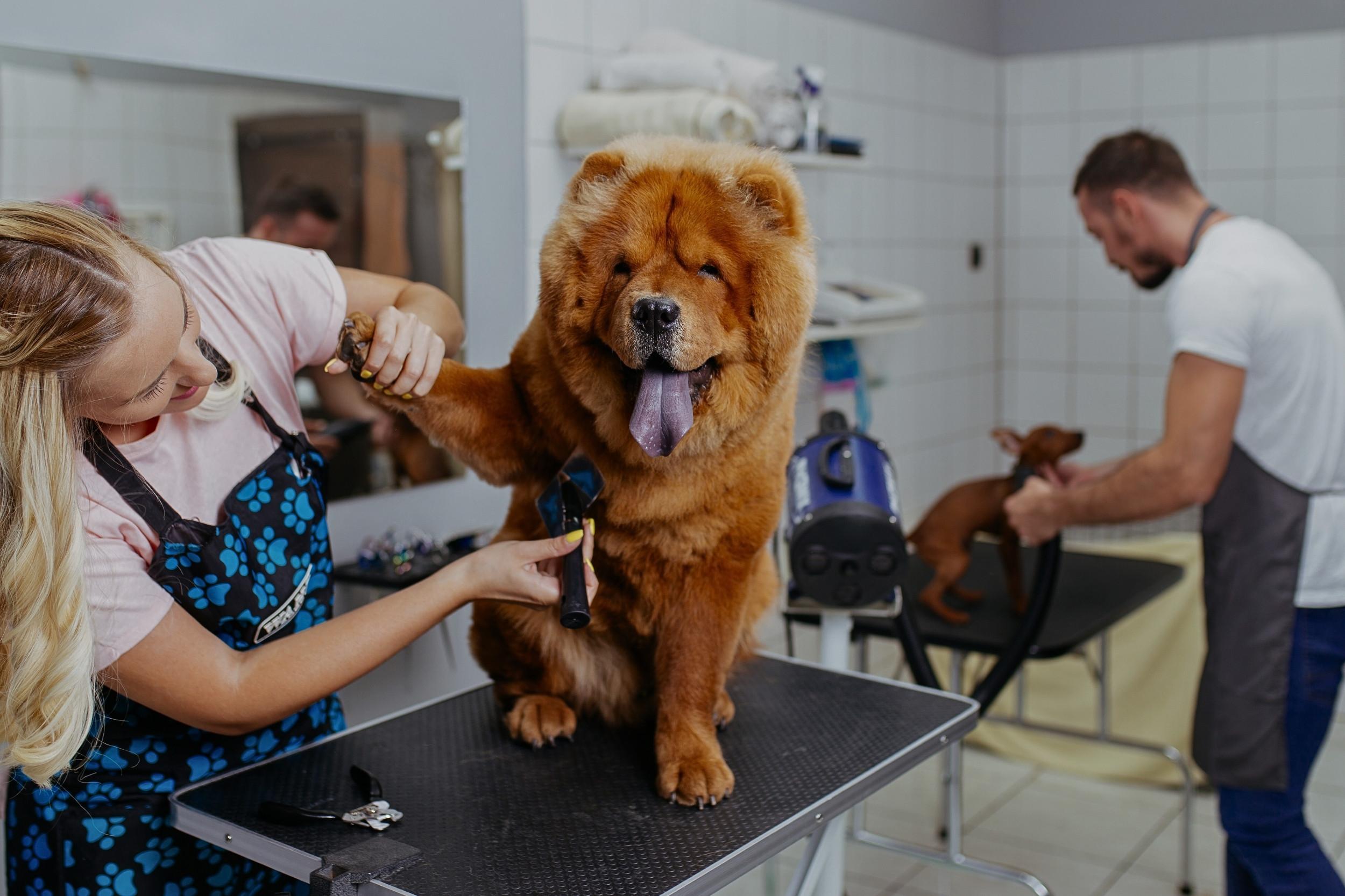 Small Business Finance Image 10