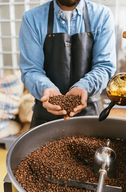 Image of a person holding a handful of coffee beans