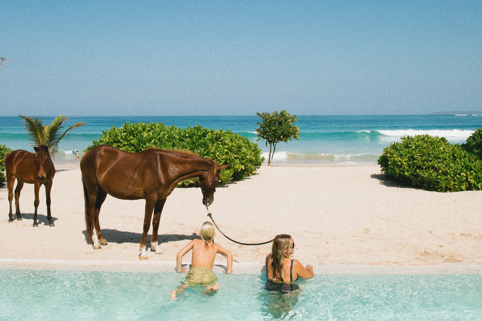 Mother and child swimming at Dassang Beach with a horse by the shore