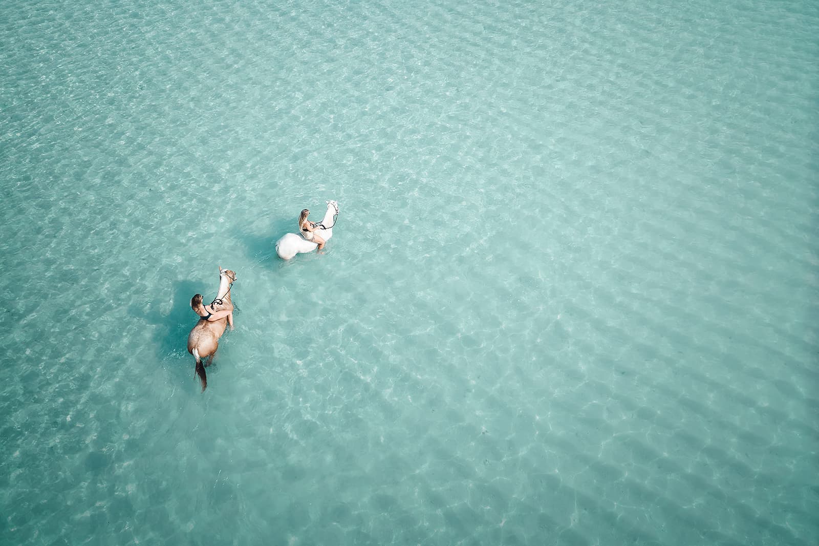 Two riders on horseback in turquoise shallow waters of Sumba, Indonesia—an unforgettable equine adventure in nature.