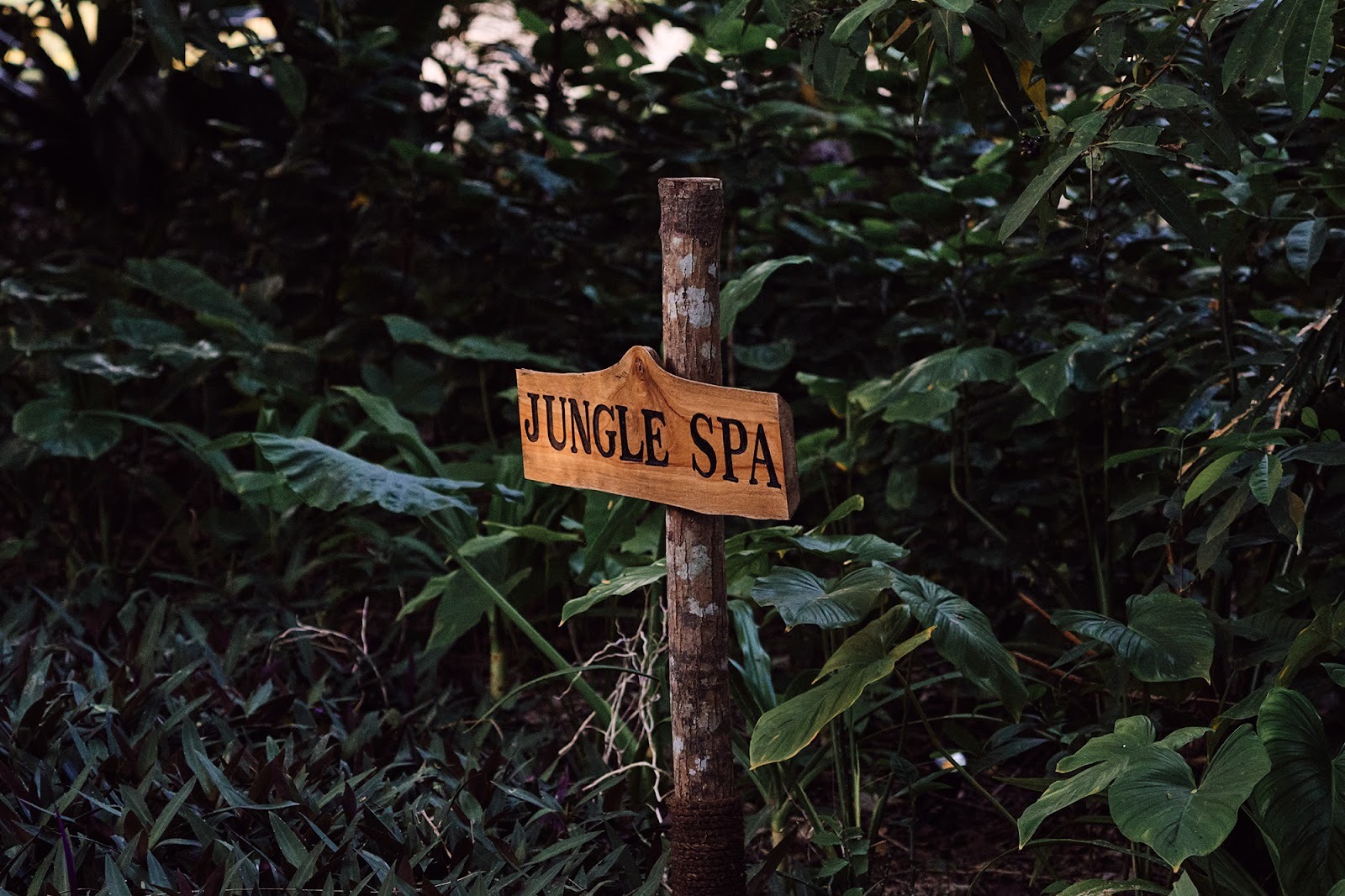 Wooden sign leading to the jungle spa in Sumba