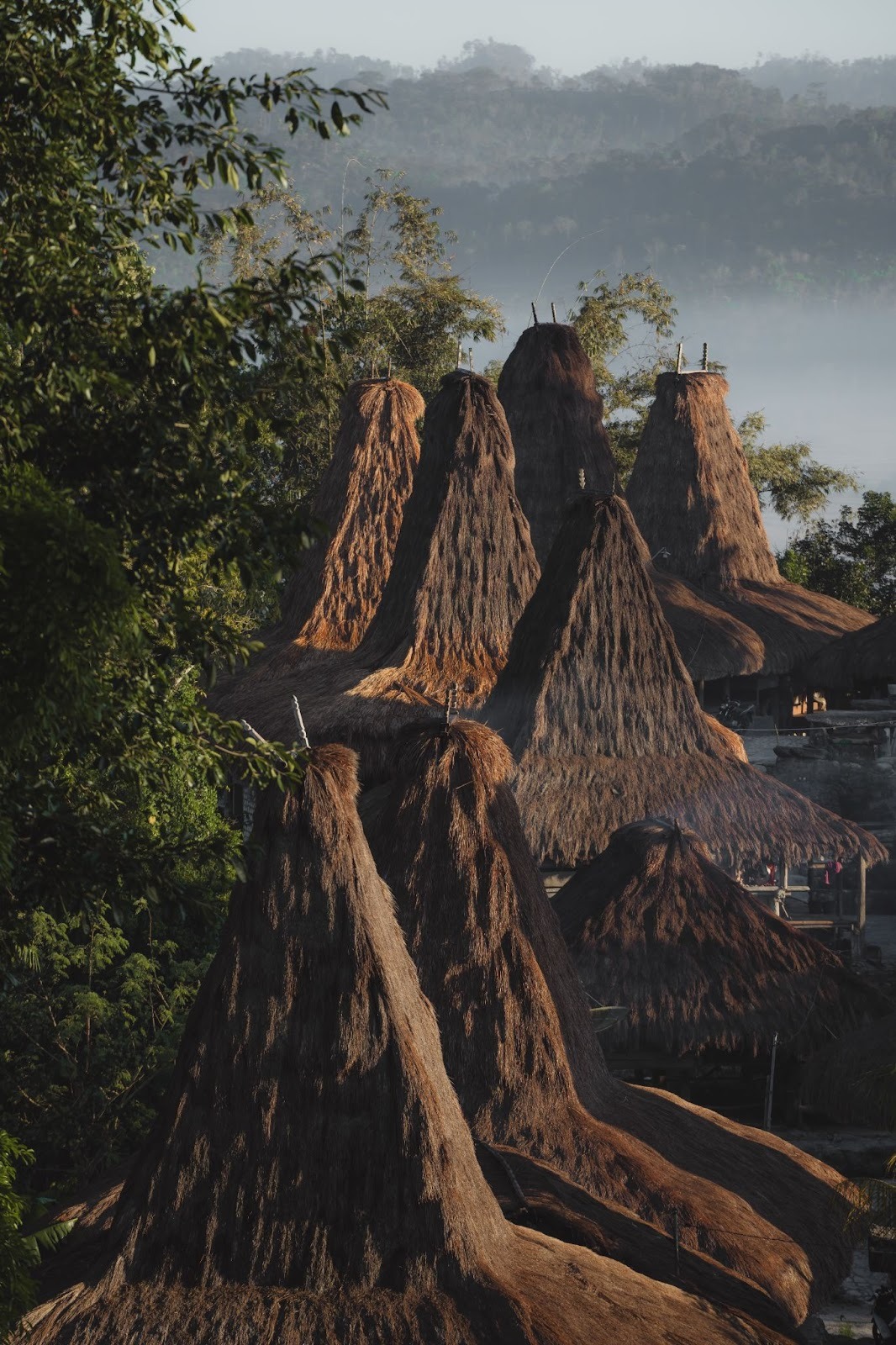 Traditional Sumba village with iconic thatched houses near The Sanubari, Indonesia