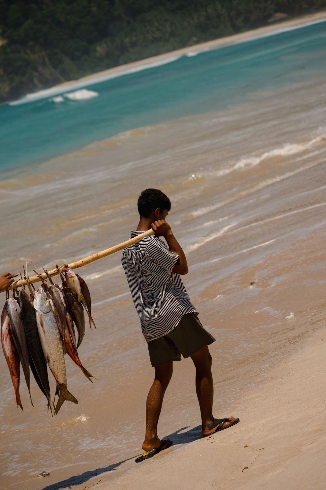 Local Sumbanese kid carrying freshly caught fish along the beach, reflecting daily coastal life in Sumba.