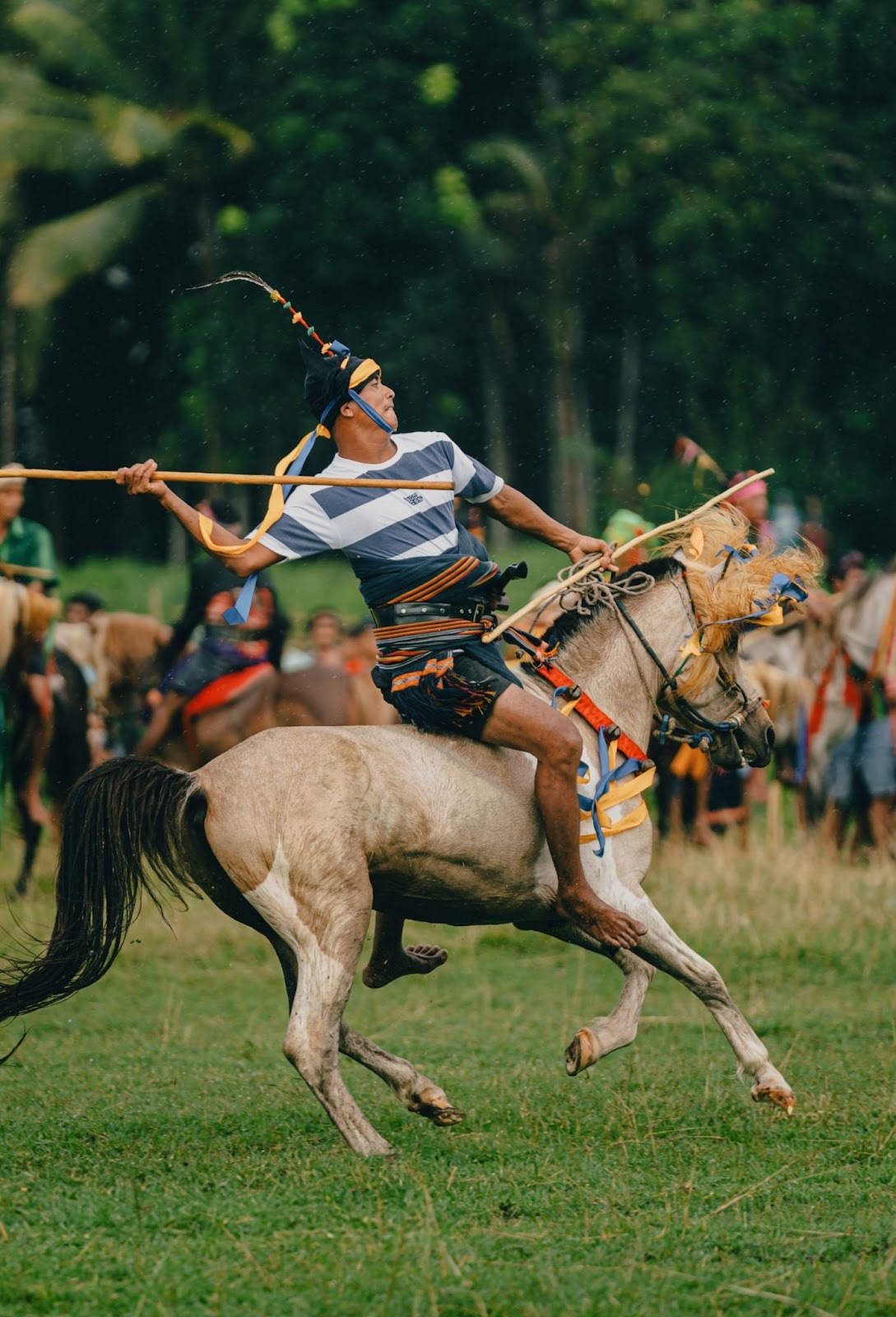 High-speed Pasola ritual combat with riders throwing spears on horseback in rural Sumba Island
