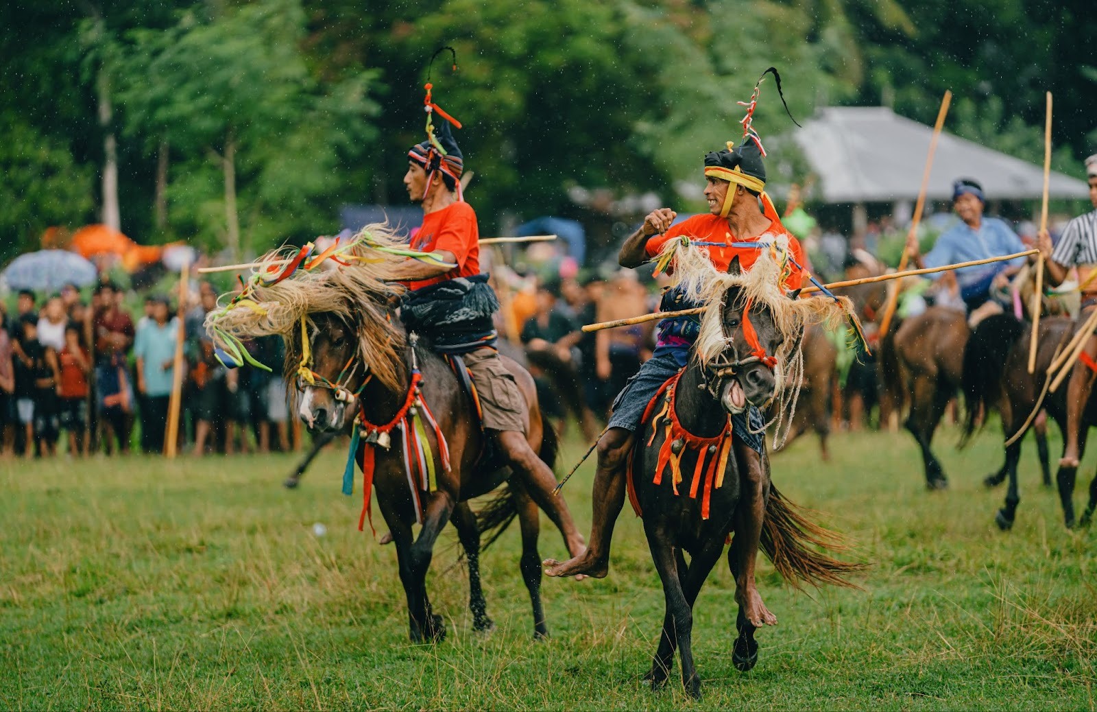 Bareback riders in traditional Pasola attire charging across grass fields during the Pasola Festival in West Sumba