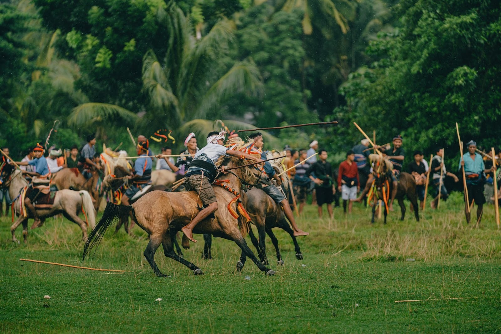 High-speed Pasola ritual combat with riders throwing spears on horseback in rural Sumba Island