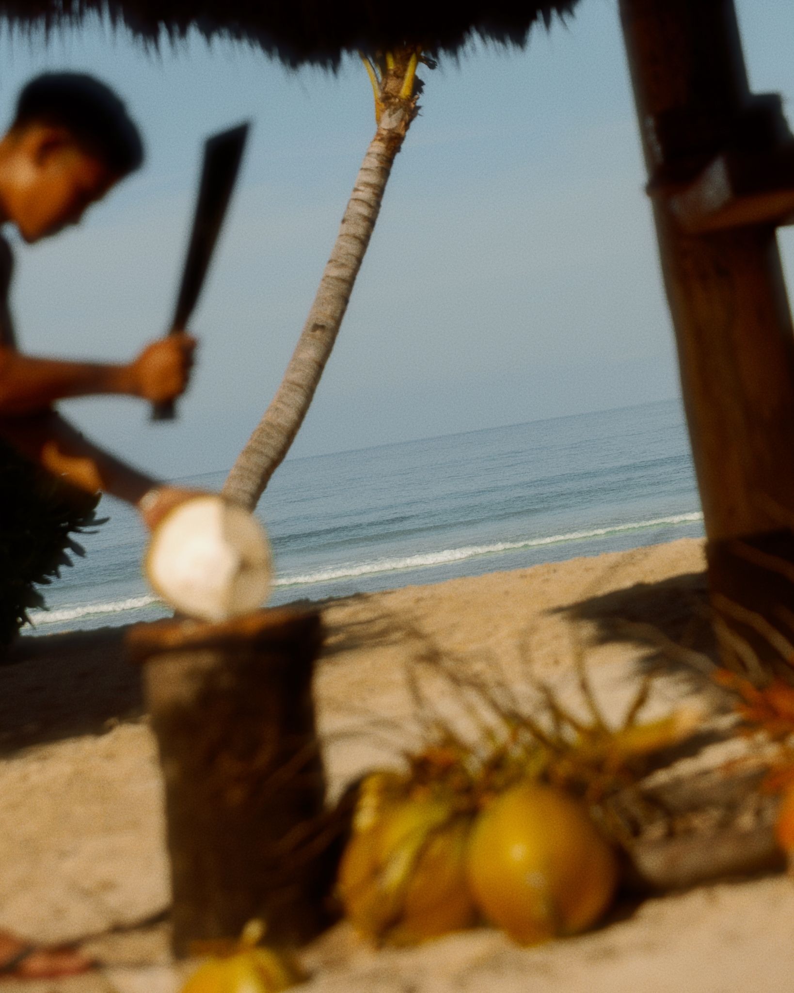 Sumbanese man using a traditional Kabeala parang blade to open a coconut on the beach in West Sumba Indonesia near The Sanubari Sumba