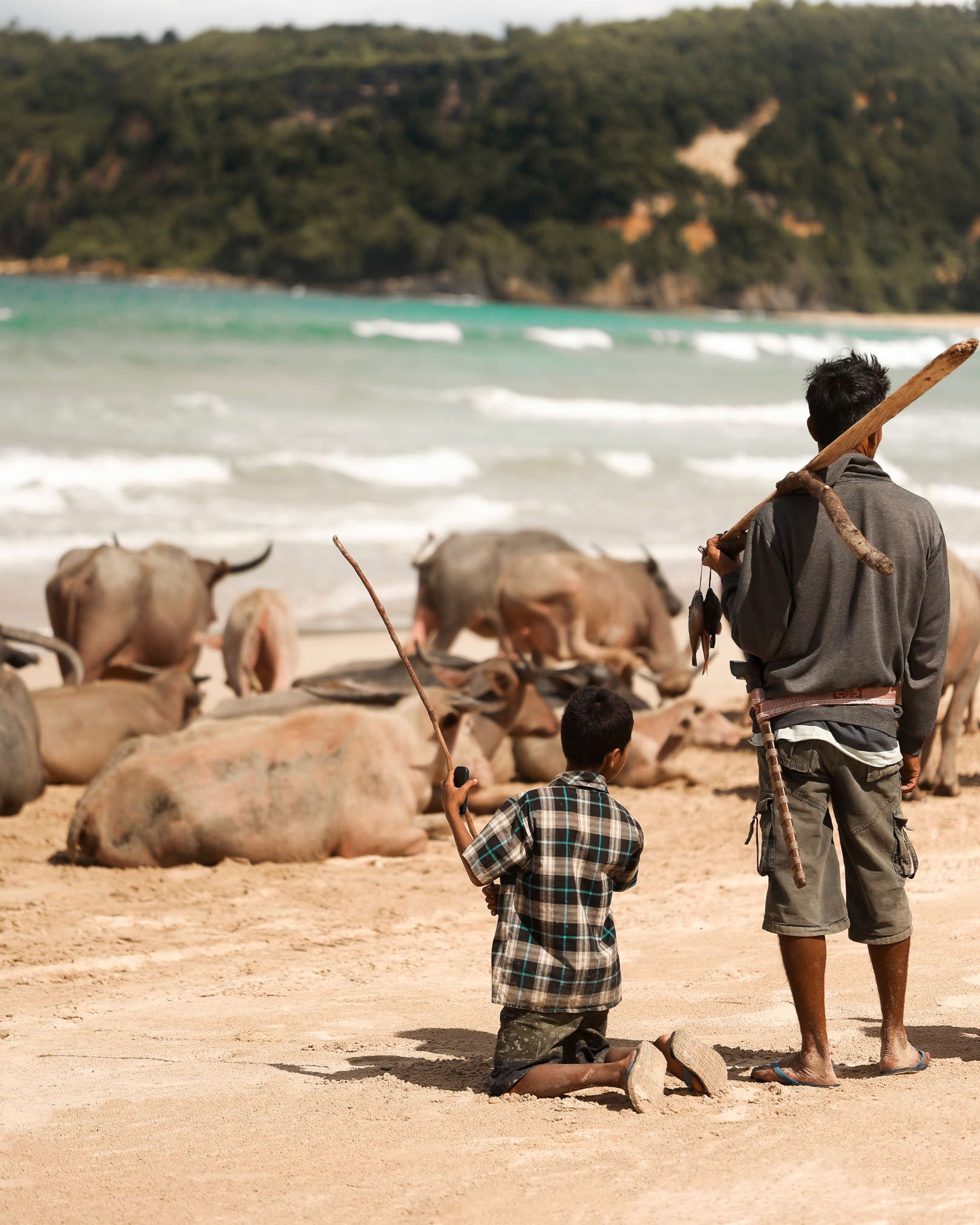 Father and child herding water buffalo on a West Sumba beach — daily village life in the communities surrounding The Sanubari Sumba Indonesia