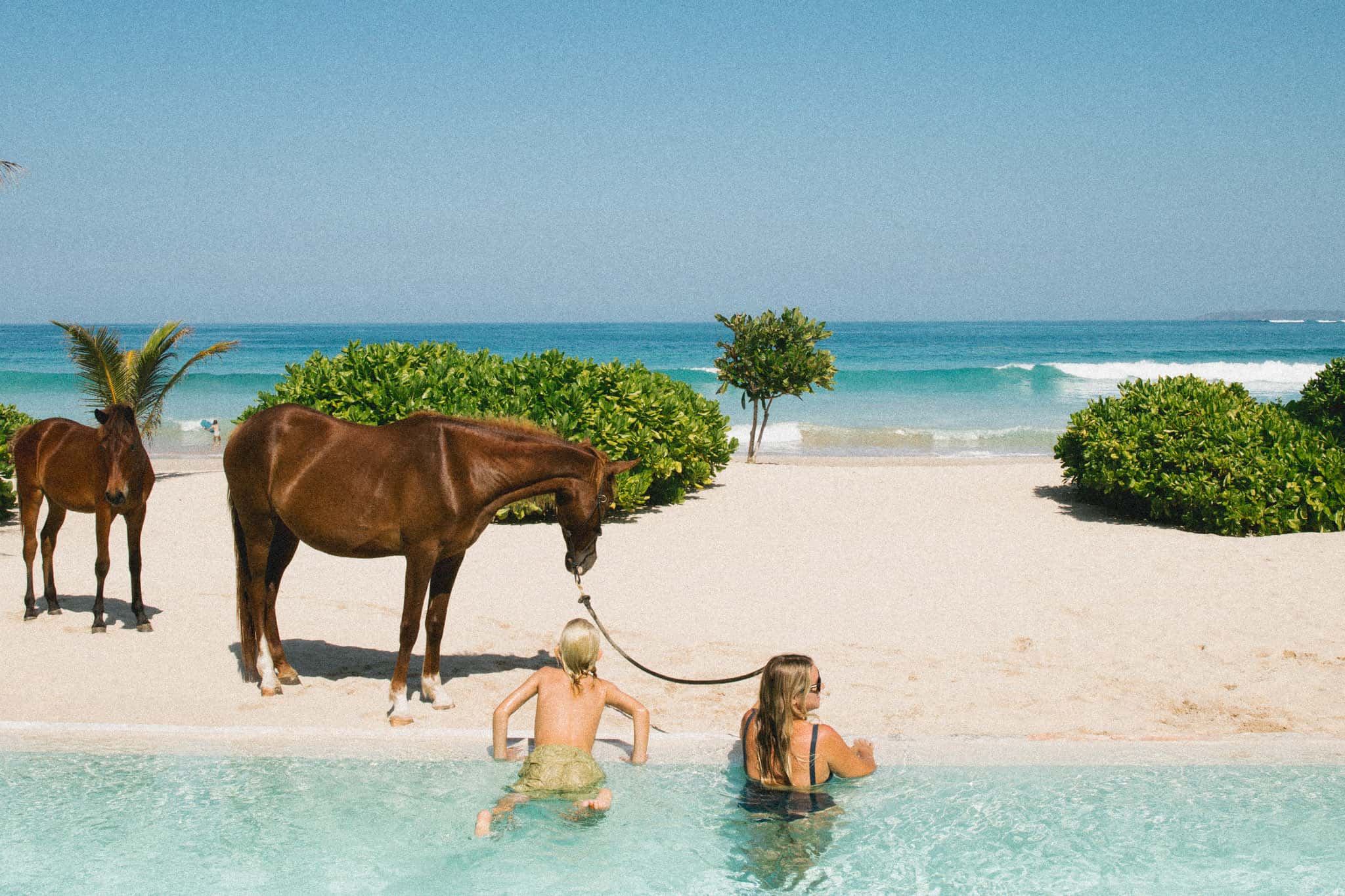 A breathtaking view from The Sanubari's infinity pool featuring two tourists watching a horse stroll across Dassang Beach at sunset.