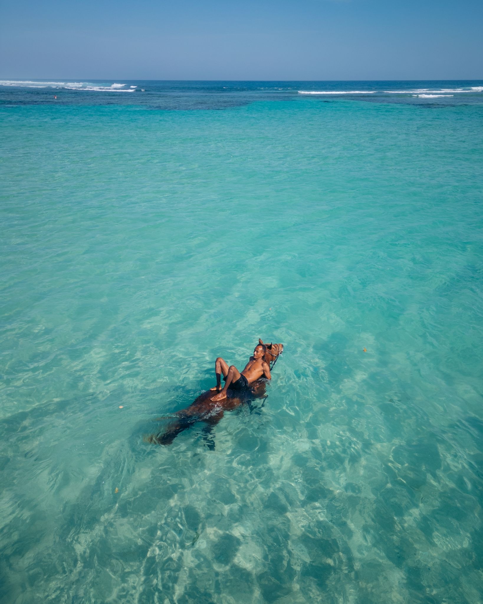 Guest swimming with a Sumbanese sandalwood horse in crystal clear ocean water at The Sanubari sumba island hotel
