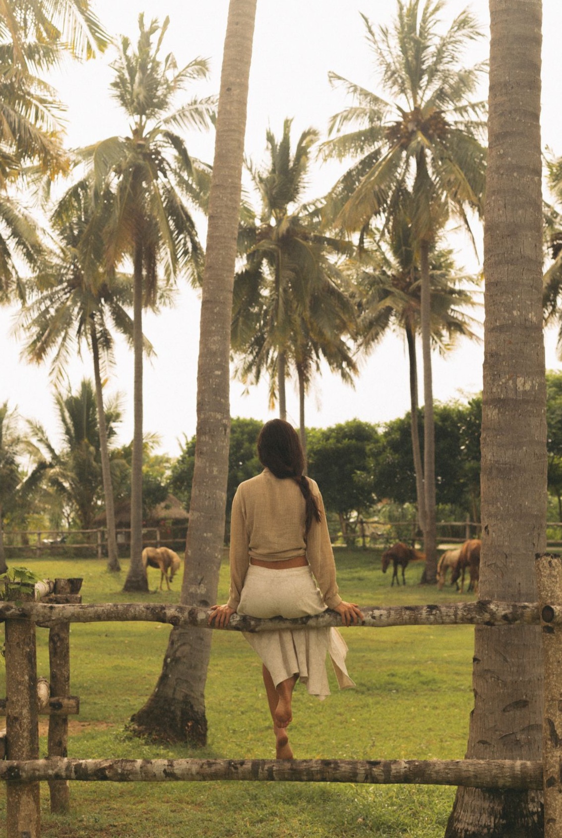 A woman sitting on a wooden fence looking over a lush coconut palm grove with horses grazing in West Sumba.