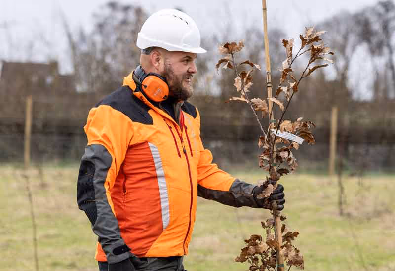 Euroforest Worker planting trees