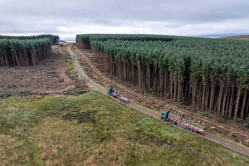 Two lorries Euroforest transporting logs
