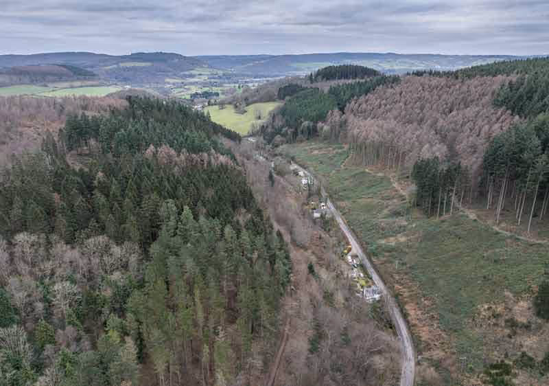 Forest access road