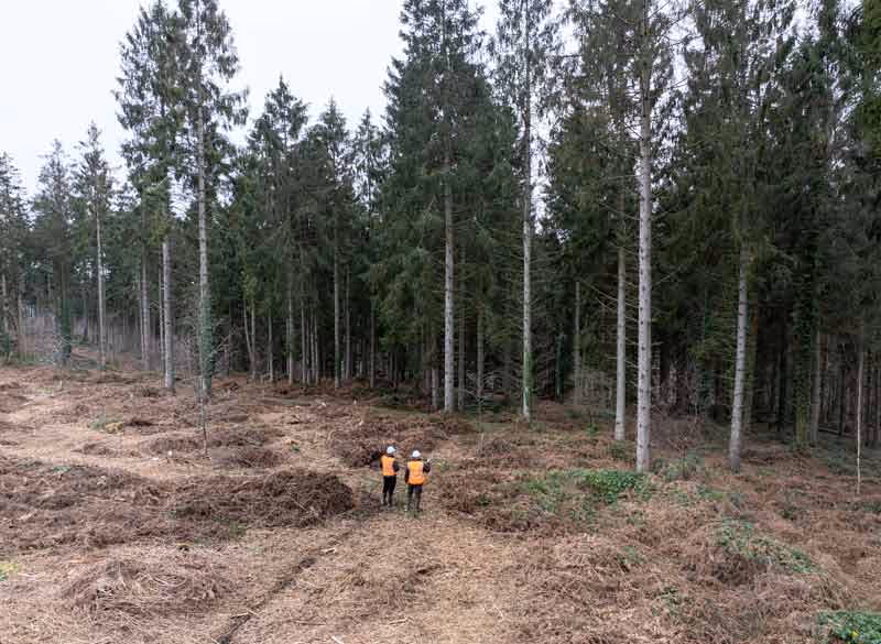 Two workers meeting in a forest clearing