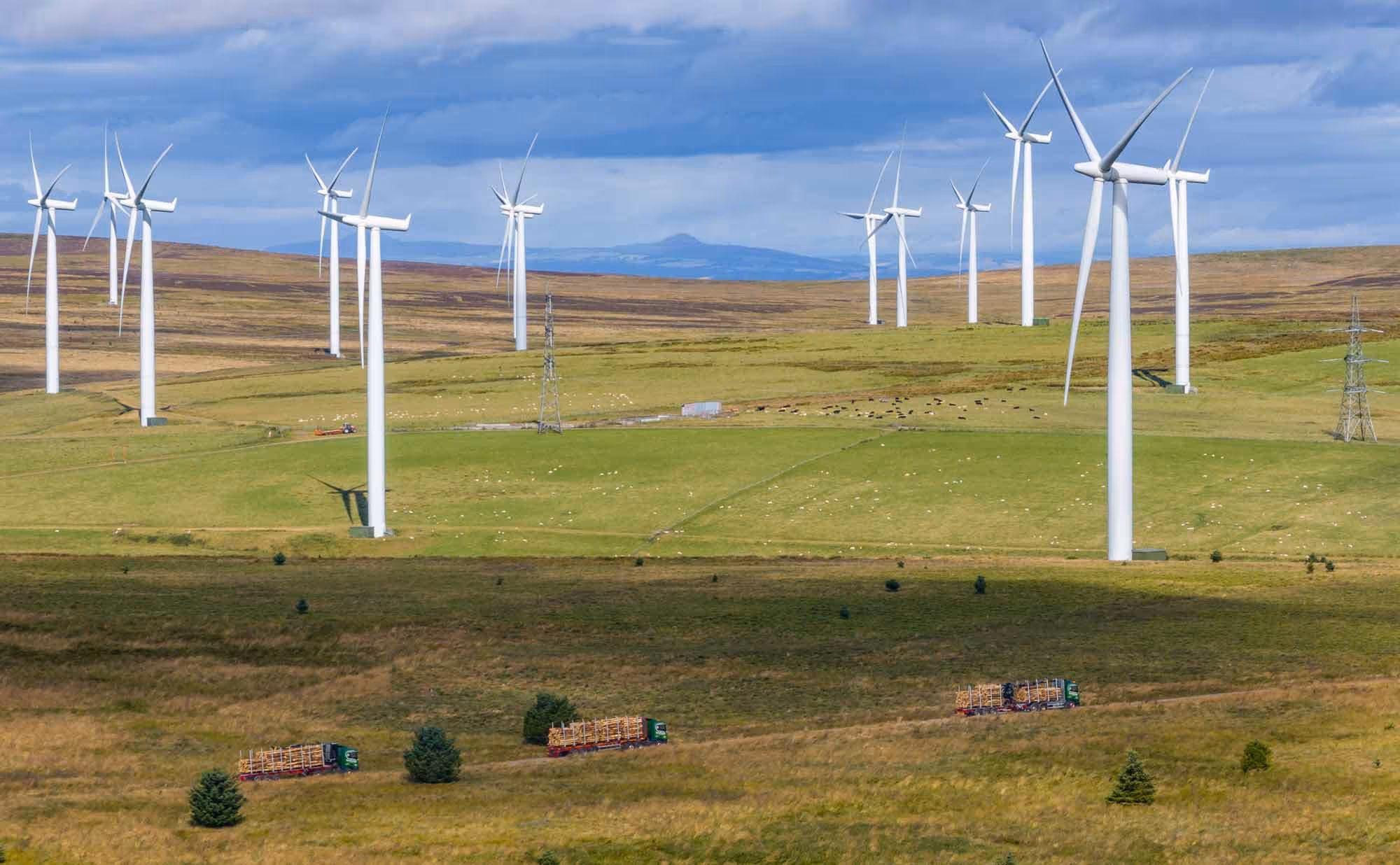 Panoramic View of a wind farm