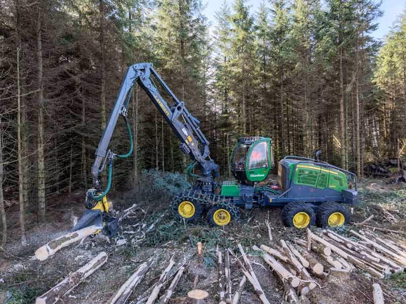 Machinery in the forest felling trees