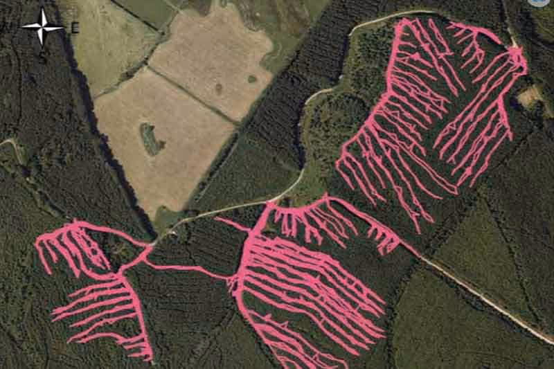 Euroforest Thinnings aerial view