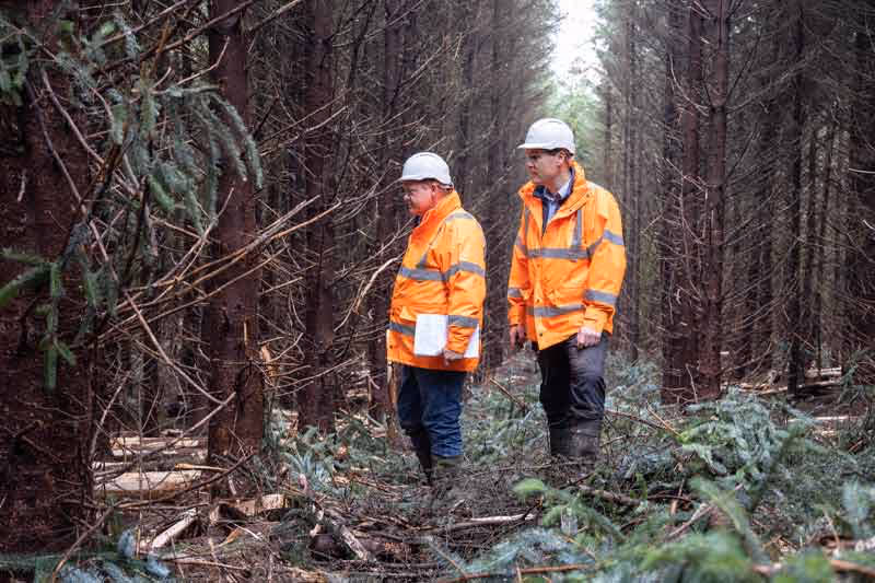 Euroforest Thinnings forest meeting