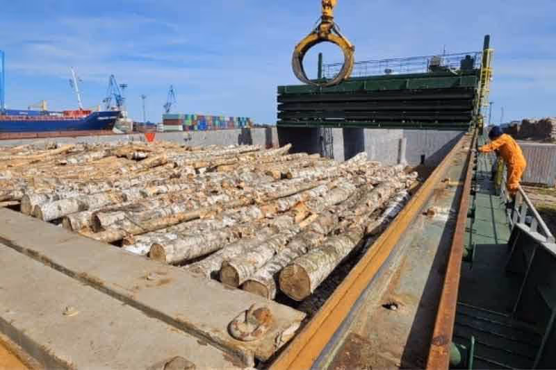 Stacks of logs at a coastal port