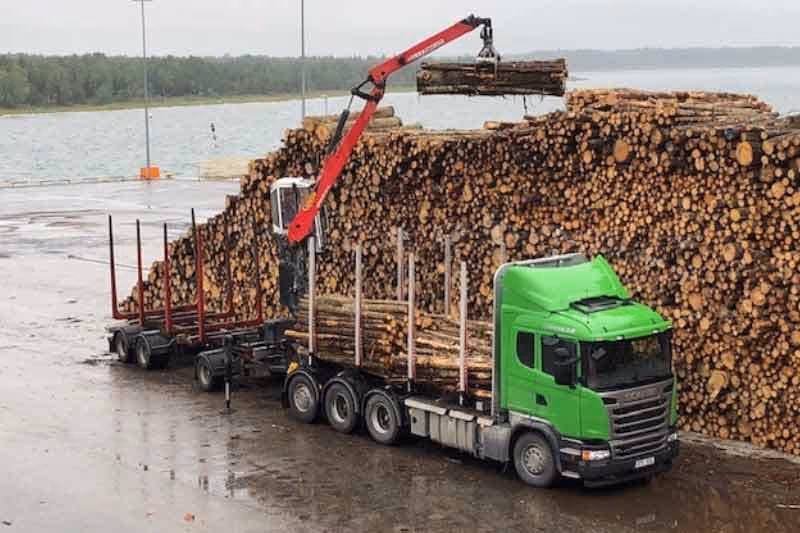 Lorry unloading logs at a port