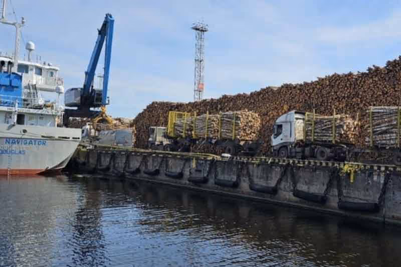 Lorrys bringing logs into a port location