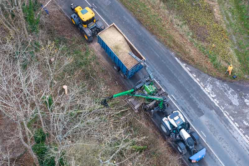 Looking down on roadside tree clearing