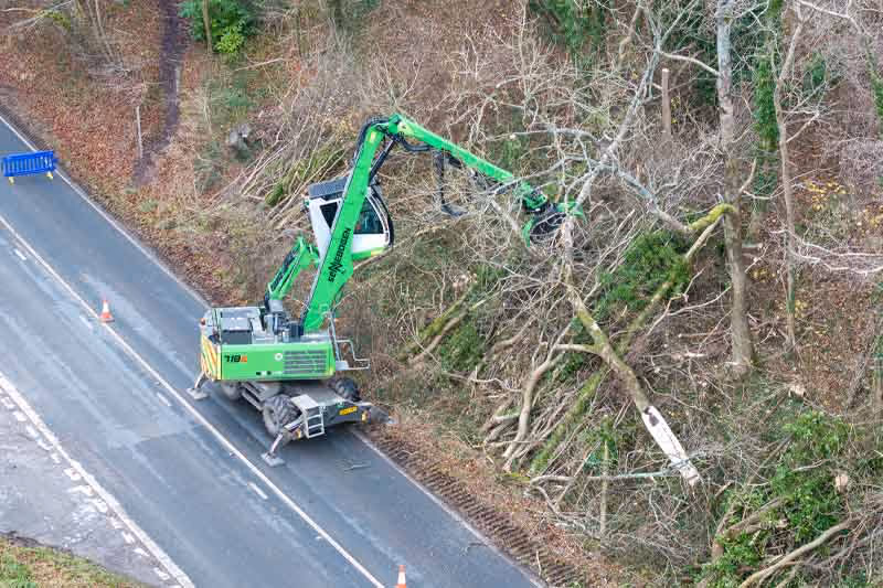 Mechanised Arboriculture in action