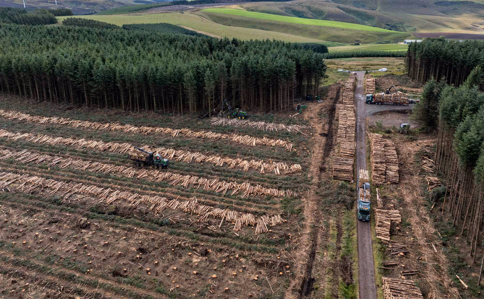 Euroforest Harvesting & Haulage aerial shot of forest clearing