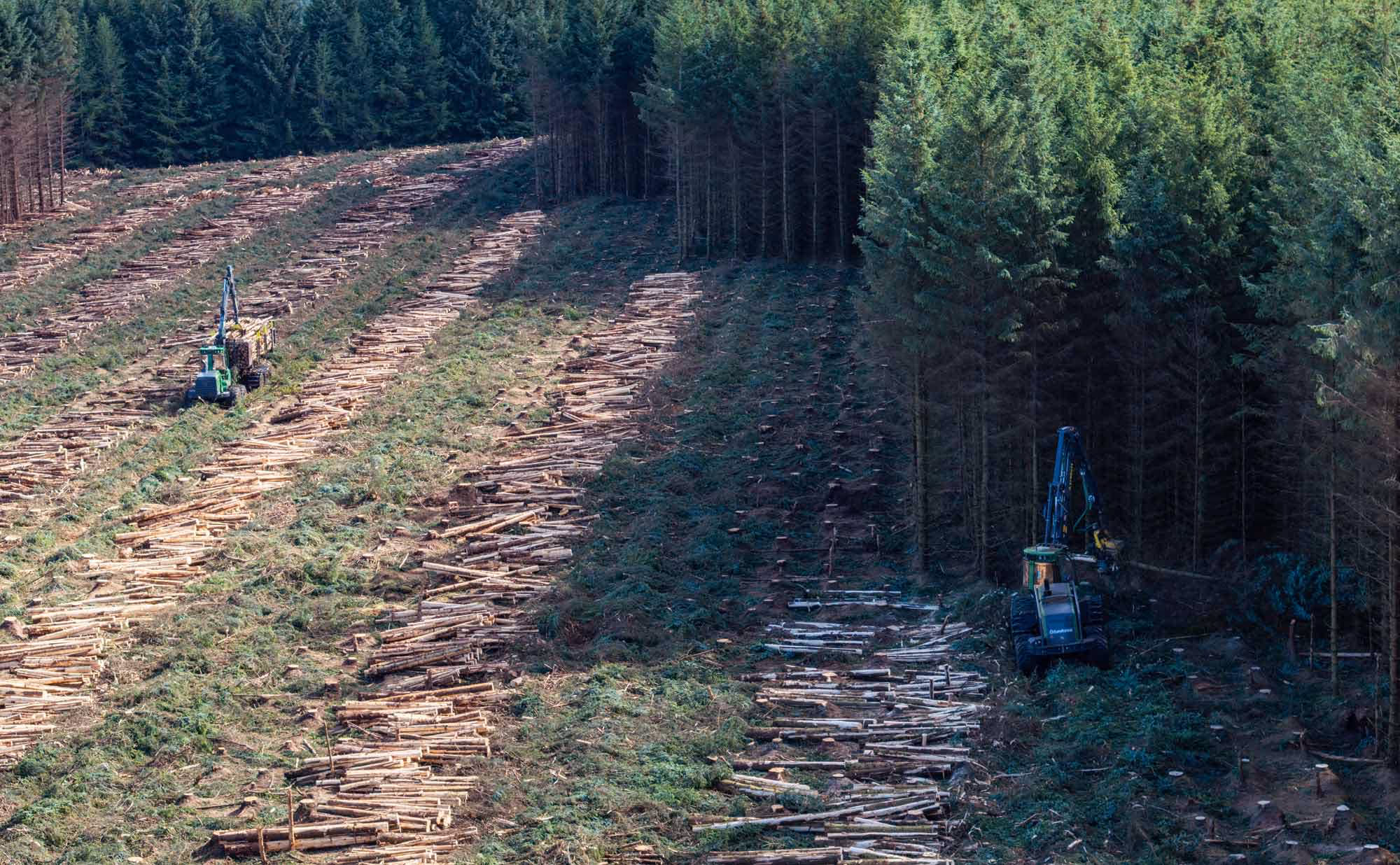Clearfell scene with machinery
