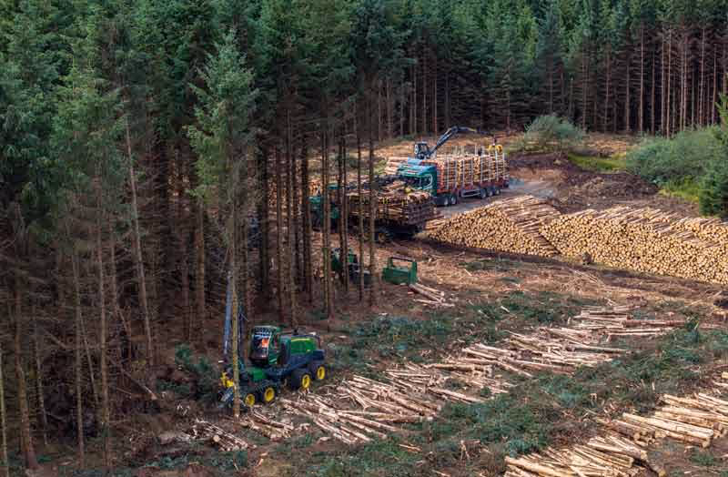 Euroforest Clearfell Woodland Ready for Haulage
