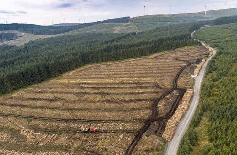 Euroforest  Clearfell with Plant Equipment