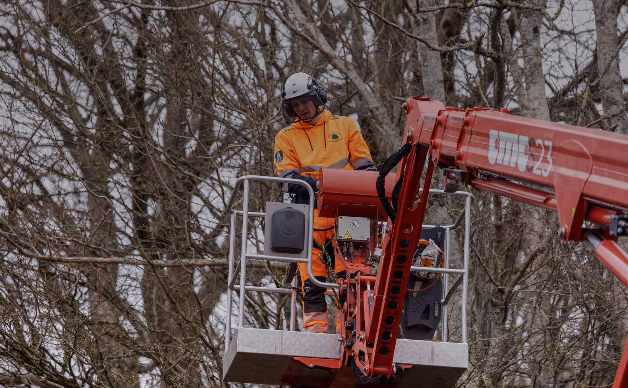 Forest worker in a Cherry Picker