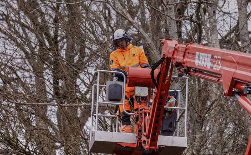 Euroforest Arboriculture Man in Cherry Picker