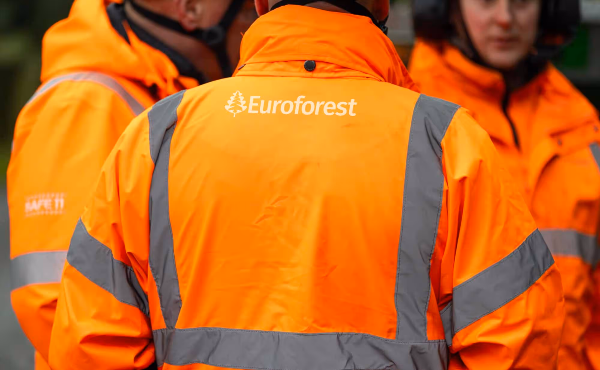 Three forest workers in high-vis jackets